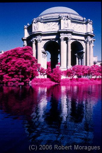 Color Infrared -  Palace of Fine Arts 1 